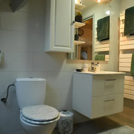 Διαμέρισμα Duplex Cosy *